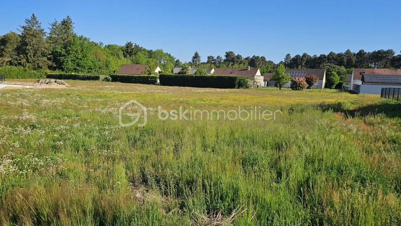 Terrain - 702 m²