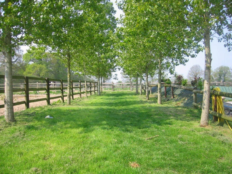 Haras - 380 m² - 14 pièces