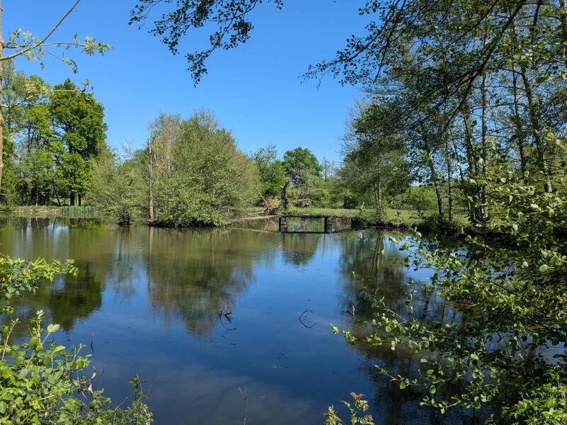 Maison - 270 m² - 10 pièces