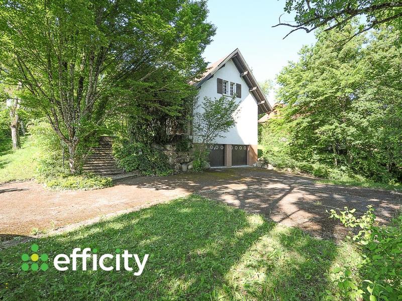 Maison - 365 m² - 5 pièces