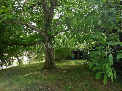 Terrain constructible - 1 271 m²