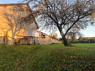 Ferme - 83 m² - 4 pièces