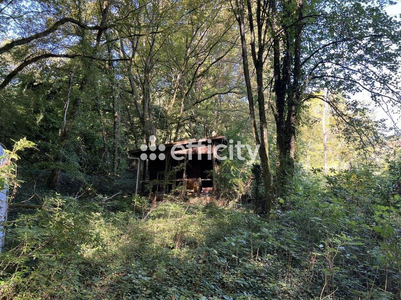 Terrain - 14 696 m²