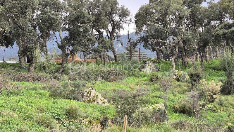 Terrain agricole - 56 090 m²