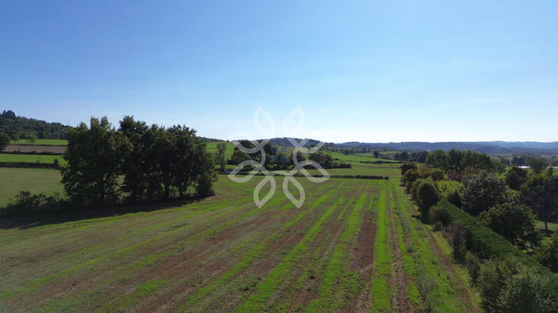 Terrain - 13 541 m²