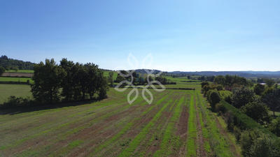 Terrain - 13 541 m²