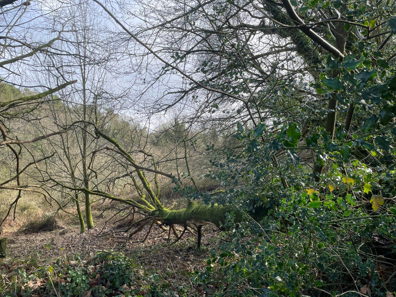 Terrain de loisirs - 9 993 m²