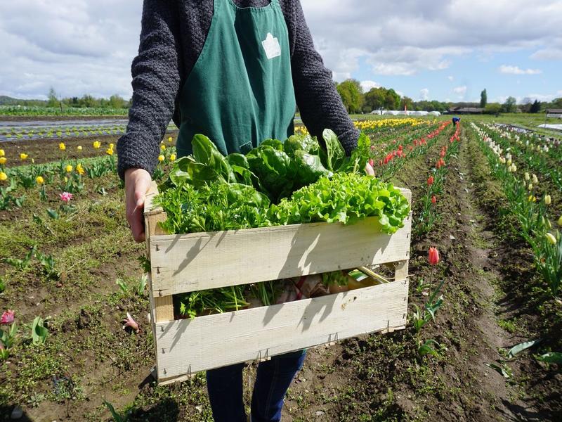 Animation à la Cueillette de l'Aragnon