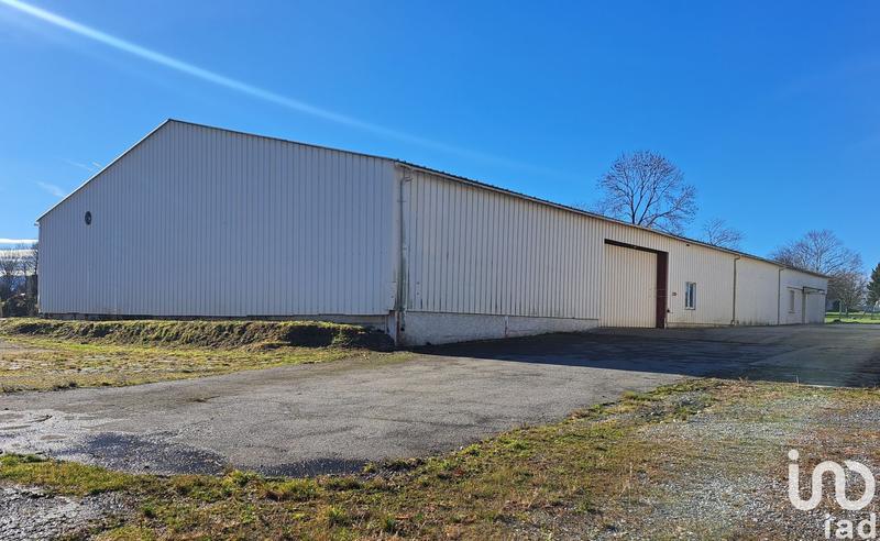 Local commercial - 1 234 m²