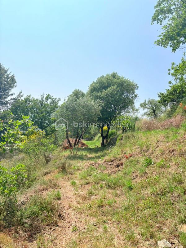 Terrain - 1 562 m²