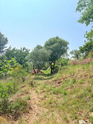 Terrain - 1 562 m²