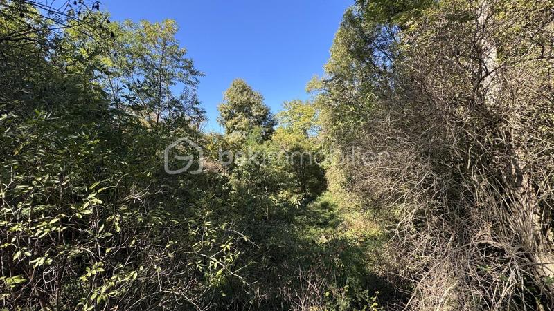 Terrain agricole - 4 130 m²