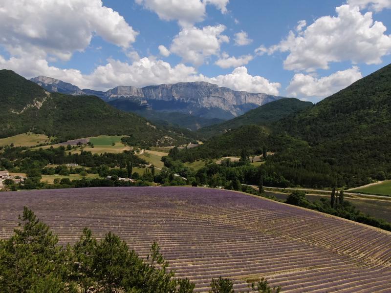 Visite guidée d’une distillerie d’huile essentielle dans la Drôme