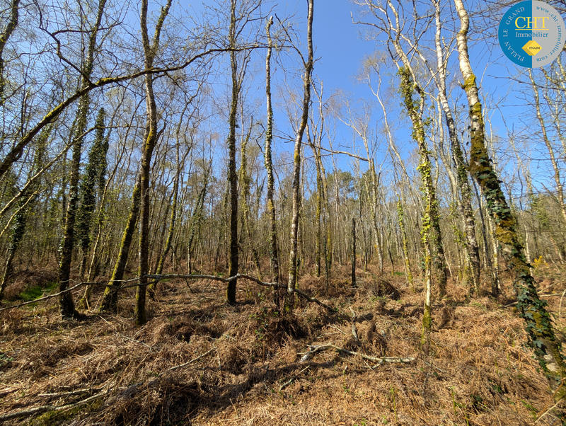 Terrain - 24 900 m²