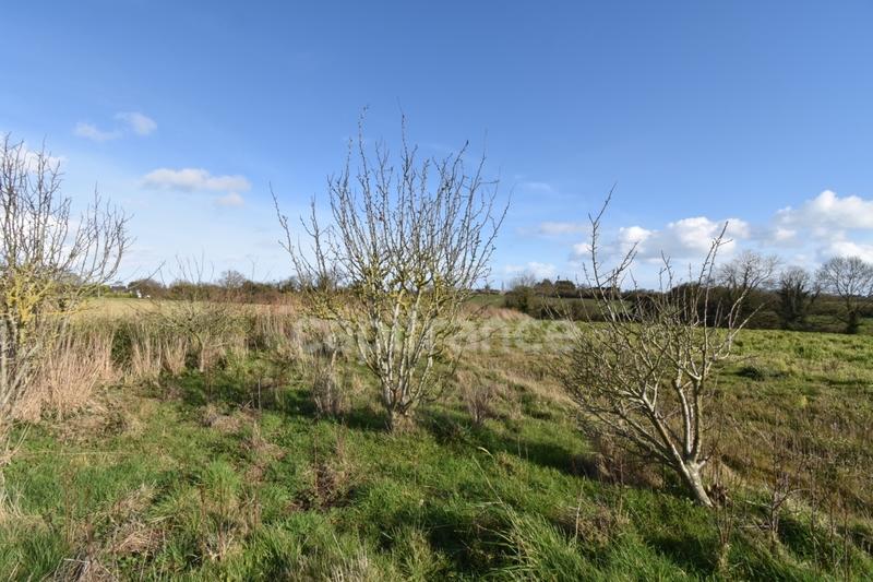 Maison en pierre - 75 m² - 4 pièces