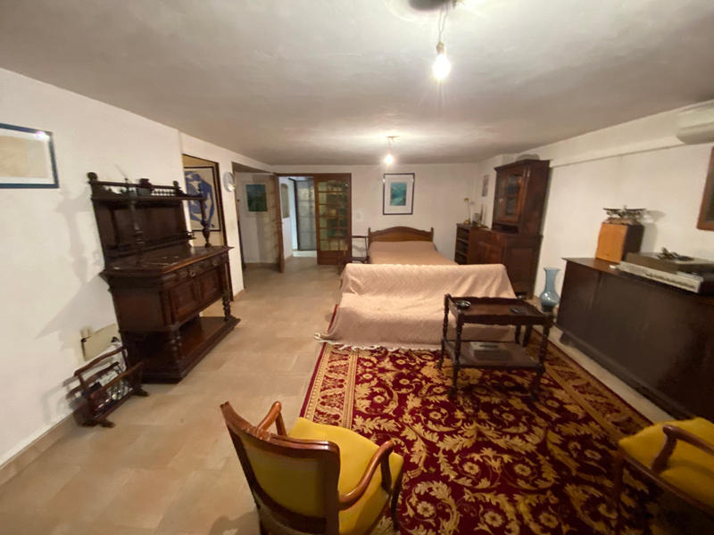 Viager - Maison - 318 m² - 7 pièces