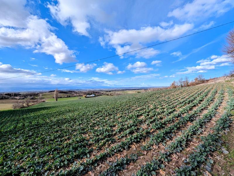 Terrain agricole - 46 750 m²