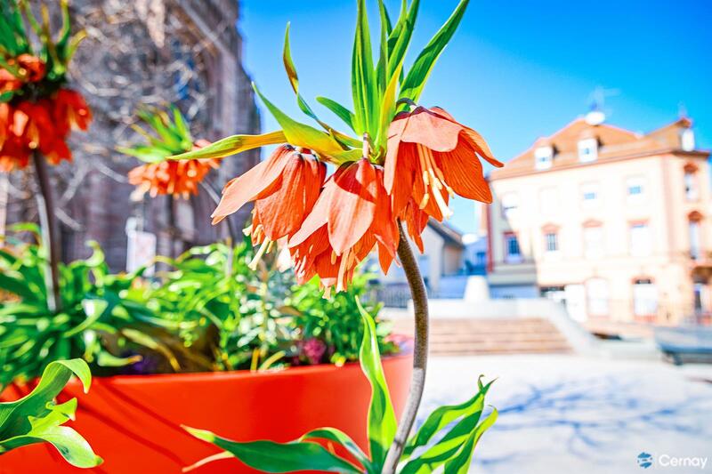 Chasse au trésor de printemps