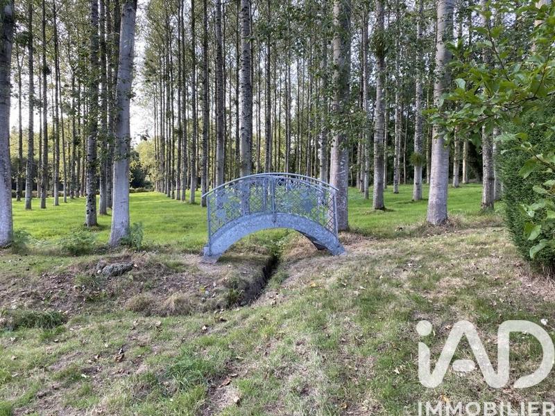 Terrain - 13 447 m²