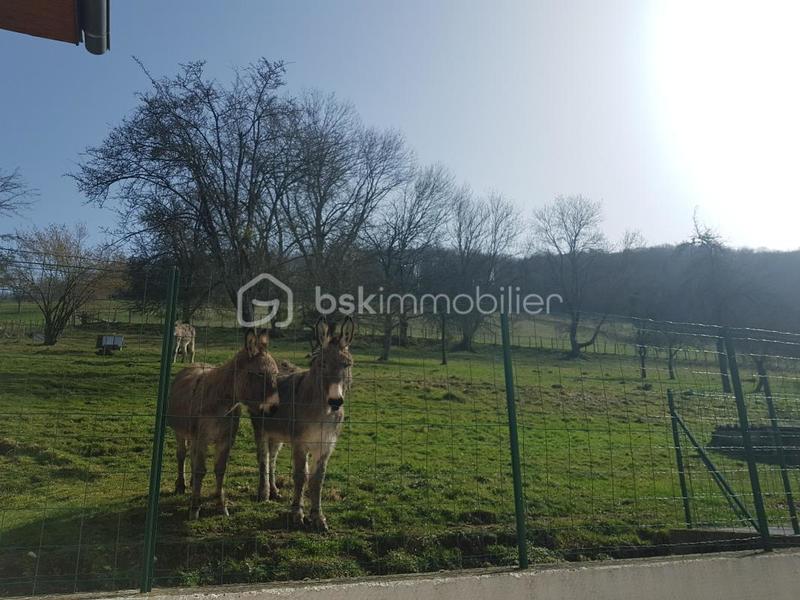 Propriété - 141 m² - 5 pièces