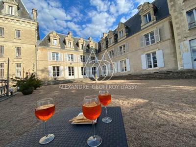 Château - 4 200 m² - 72 pièces