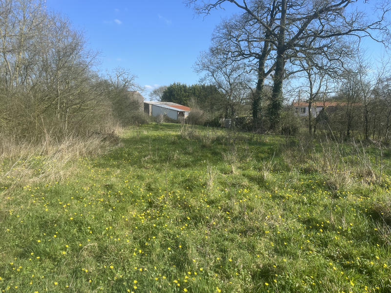 Terrain agricole - 1 097 m²