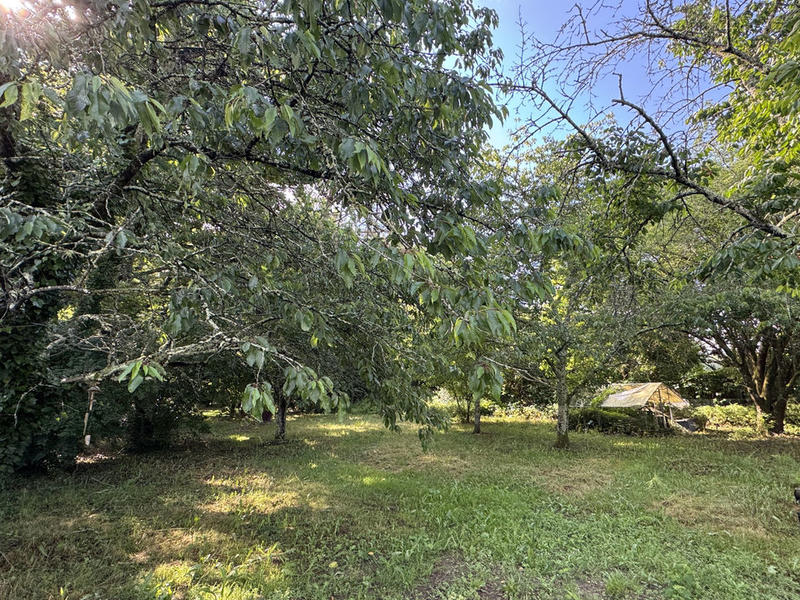 Maison - 137 m² - 5 pièces