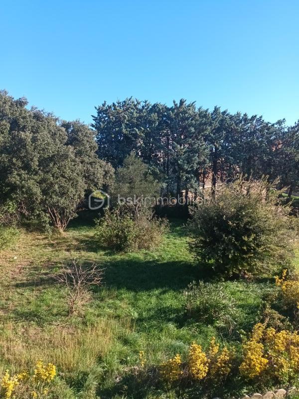 Maison traditionnelle - 248 m² - 9 pièces