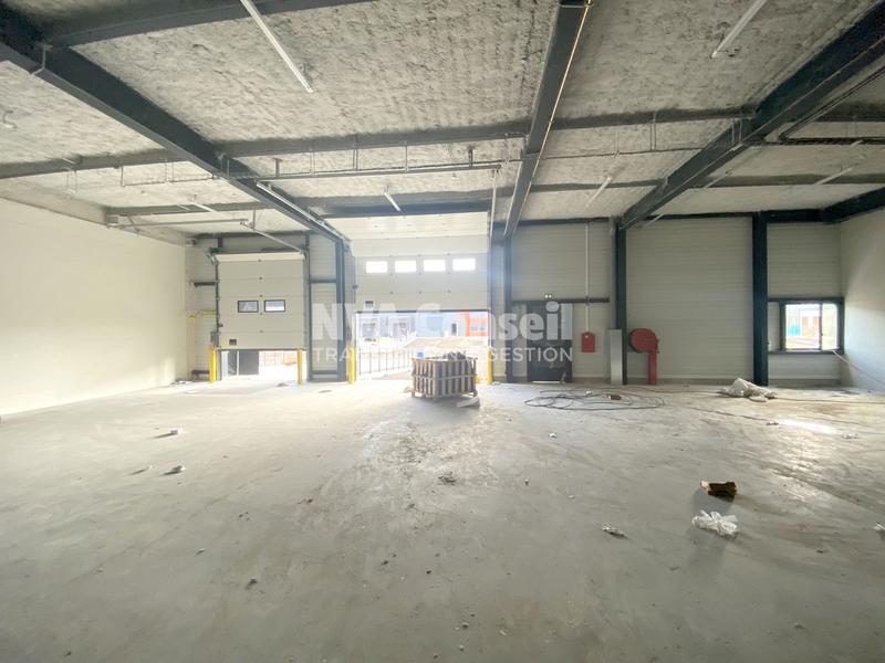 Entrepôt - 3 031 m²