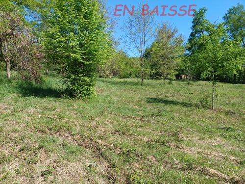 Terrain - 5 500 m²