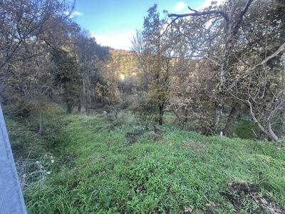 Terrain constructible - 2 000 m²