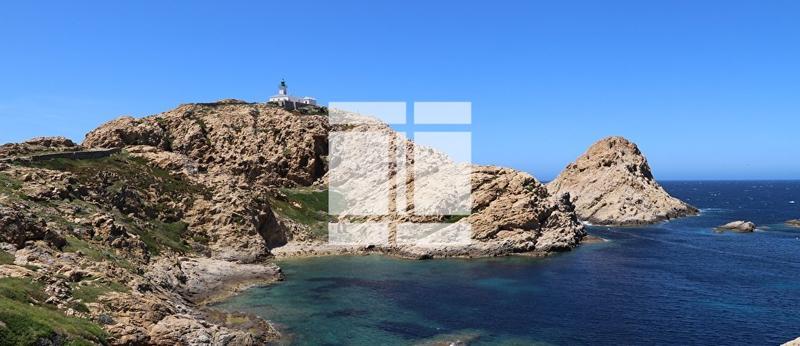 Appartement - 23 m² - 1 pièce