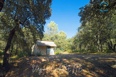 Maison - 317 m² - 9 pièces