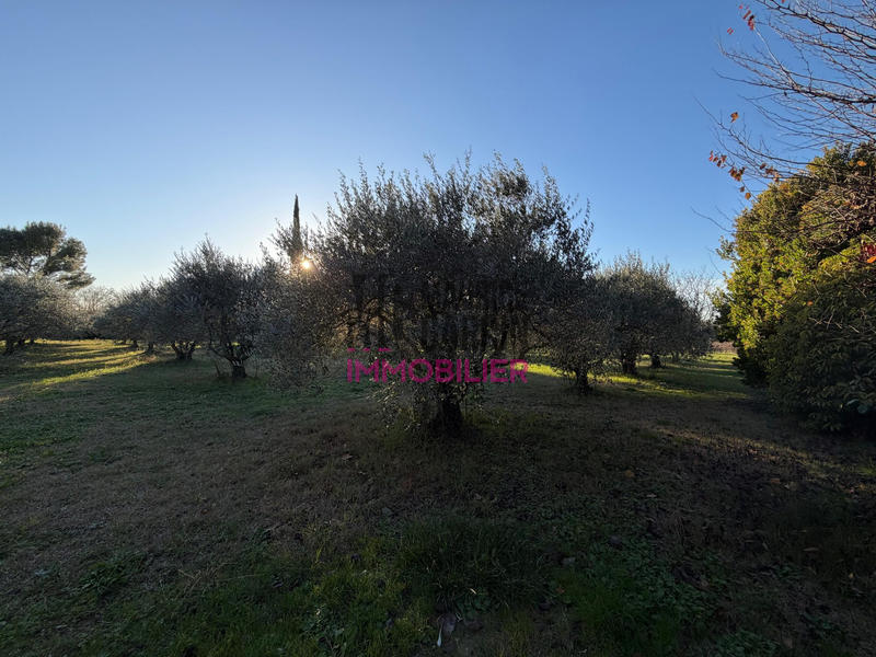 Maison - 75 m² - 3 pièces