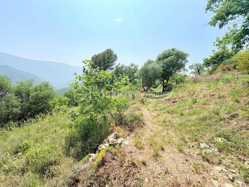 Terrain - 1 562 m²
