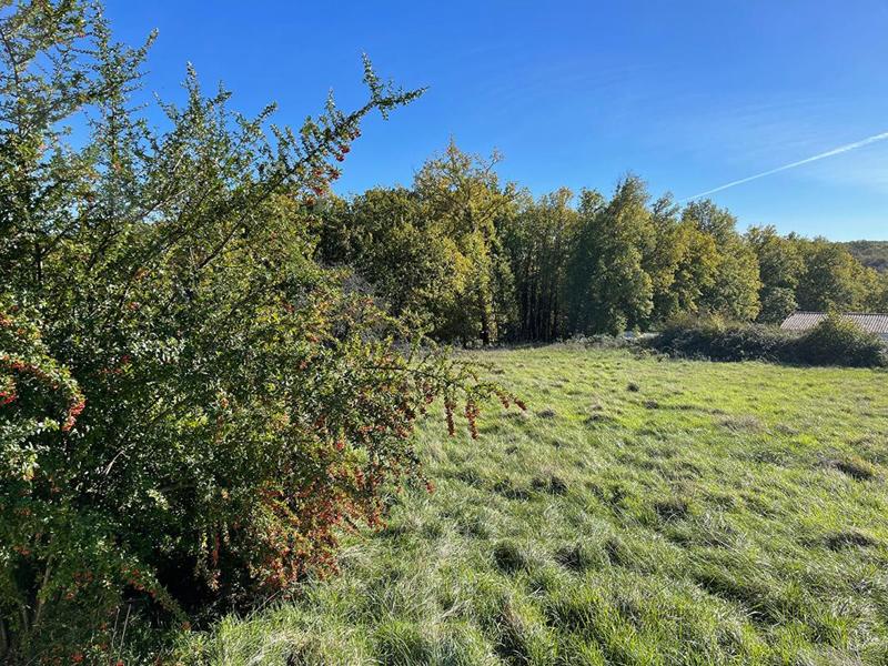 Terrain constructible - 3 039 m²