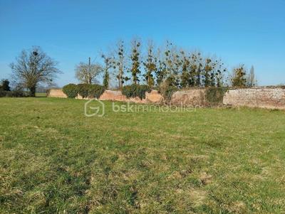 Terrain de loisirs - 2 000 m²