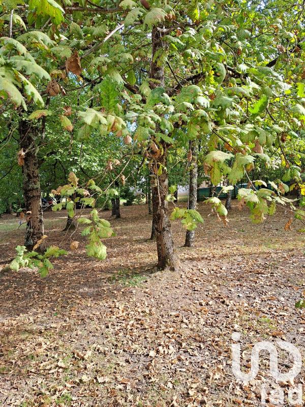 Maison - 304 m² - 4 pièces