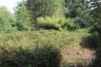 Maison - 110 m² - 3 pièces