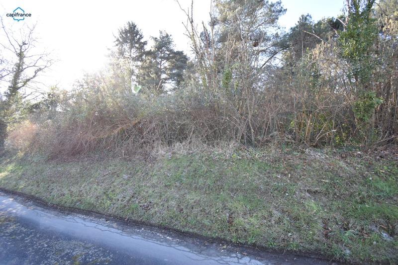 Terrain constructible - 3 000 m²