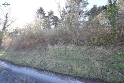 Terrain constructible - 3 000 m²