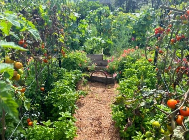 Ferme - 245 m² - 8 pièces