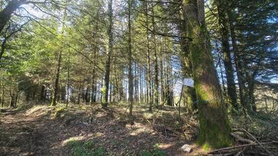 Terrain agricole - 5 600 m²