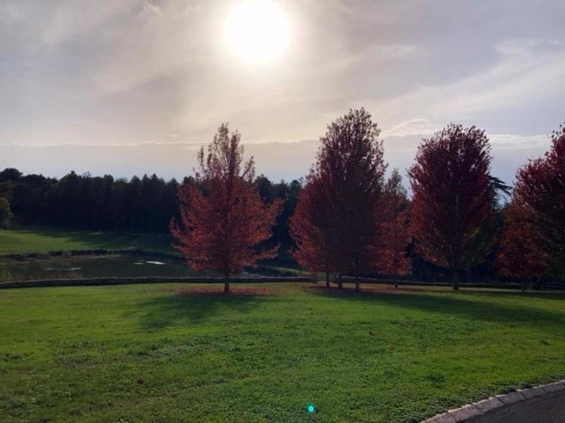 Propriété - 454 m² - 11 pièces