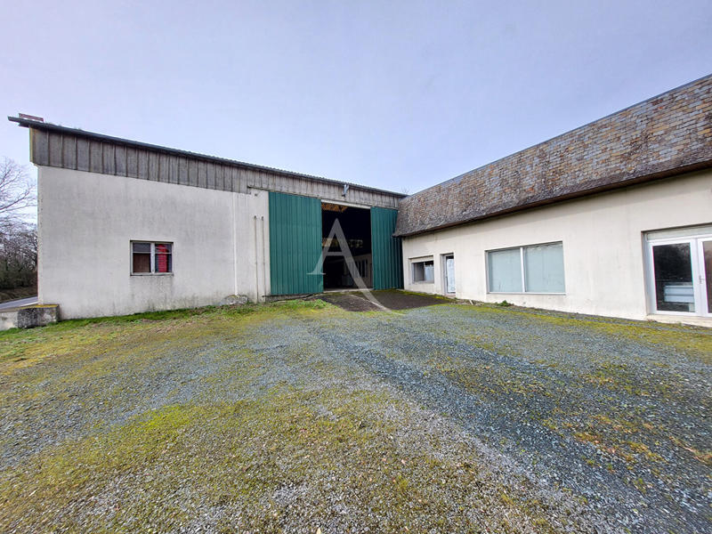 Local d'activité / Entrepôt - 1 035 m² - 8 pièces