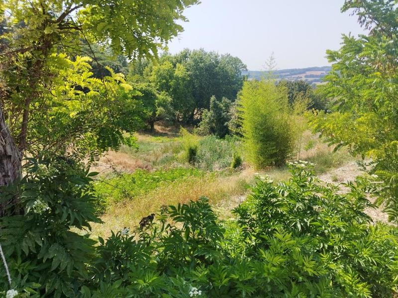 Maison bourgeoise - 429 m² - 10 pièces