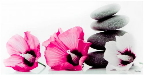 Angélique Kolodziejczyk - Psychologue