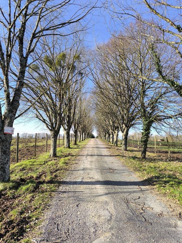 Maison - 198 m² - 5 pièces