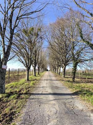 Maison - 198 m² - 5 pièces