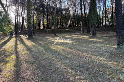 Terrain - 7 100 m²